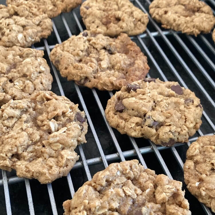 Oatmeal Chocolate Chip Cookie Recipe